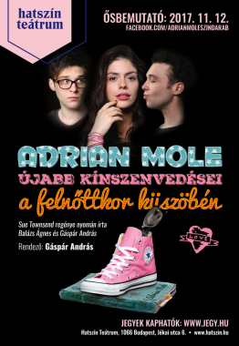 Adrian Mole újabb kínszenvedései a felnőttkor küszöbén